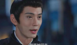 男主叫顾西城的电视剧,情动风云，爱恨交织的传奇人生