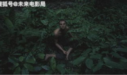 荒岛求生电视剧,逆境中的生存智慧与人性考验